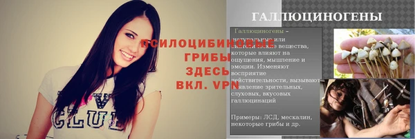 сатива Белоозёрский
