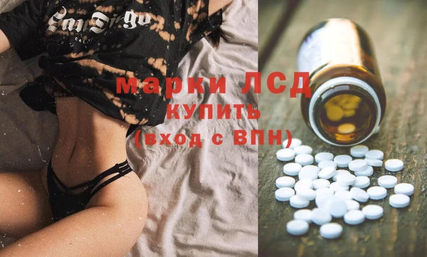 сатива Белоозёрский