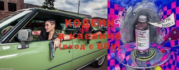 прущие крисы Апатиты