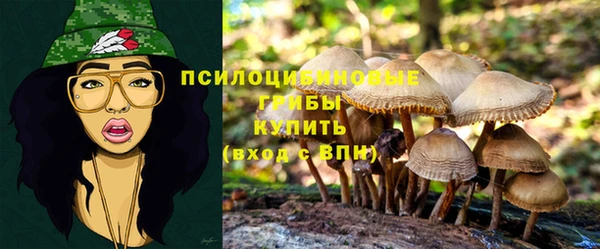 молекула духа Баксан