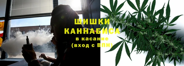 кокс Белокуриха