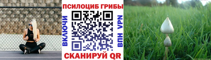 Псилоцибиновые грибы Psilocybe купить наркотик гидра ССЫЛКА мориарти состав Белоозёрский